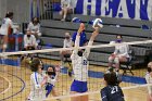 Volleyball vs RWU  Wheaton Women’s Volleyball vs Roger Williams University. : Volleyball, VB